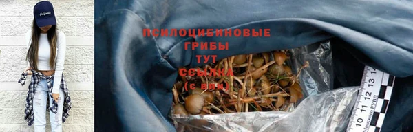 твердый Богородск