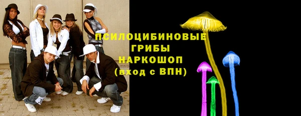 ешки Богданович