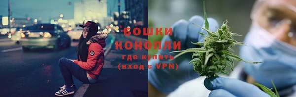 твердый Богородск