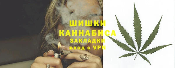 ешки Богданович