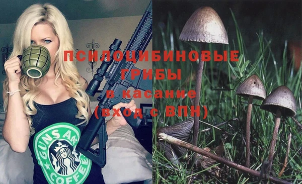 MESCALINE Богородицк