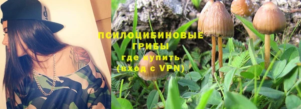 MESCALINE Богородицк