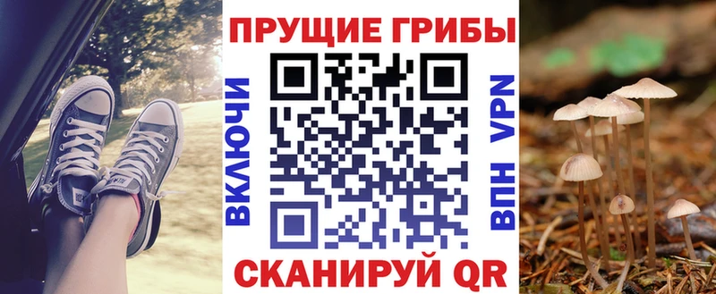 Псилоцибиновые грибы мицелий  Новокубанск 